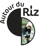 Autour du Riz, Studio photo culinaire